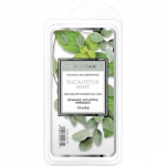Wosk zapachowy - Eucalyptus Mint